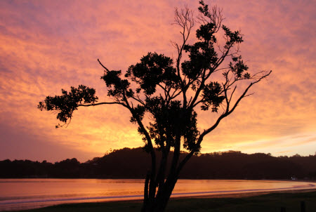 Sunrise Mercury Bay
